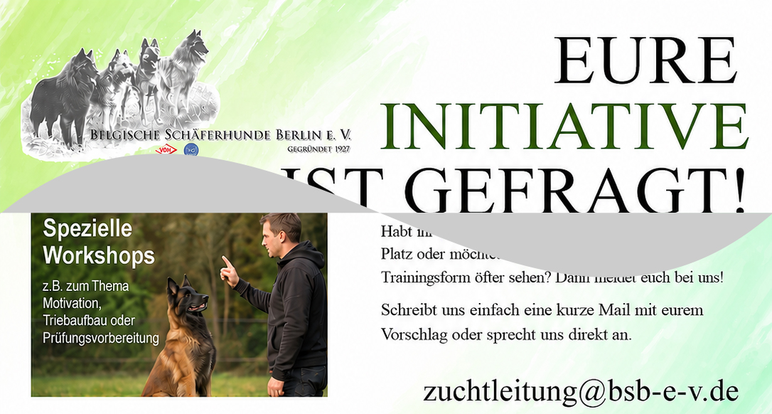 Hundesport im BSB