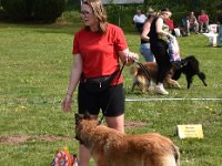40 Feli vom Leonberger Mühlbach .