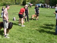 Zuchtgruppe vom Leonberger Mühlbach Freya, Cazan und Feli