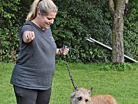 DSC 0152 Sindecade Jazzz