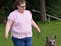 DSC 0157  Sindecade Galaxy