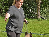 DSC 0173 Sindecade Jazzz