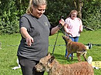 DSC 0179  Sindecade Jazzz