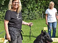 DSC 0180 Highlander Mylo von Canis Lupus Pallipes