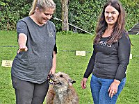 DSC 0184 Sindecade Jazzz