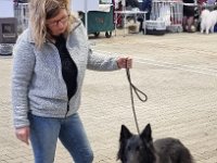 14 Alea Ex Lupis Sagittariis 2