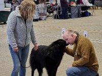 8 Highlander Mylo Von Canis Lupus Pallipes 3