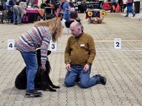 WhatsApp Image 2026-01-10 at 17.45.12