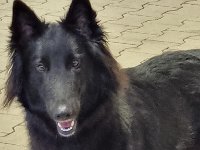 WhatsApp Image 2026-01-10 at 17.46.02 (5)