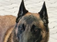 WhatsApp Image 2026-01-10 at 17.46.52 (8)