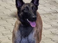 WhatsApp Image 2026-01-10 at 17.46.56 (7)