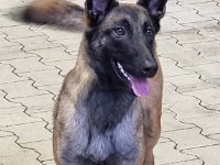 WhatsApp Image 2026-01-10 at 17.46.57 (3)