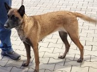 WhatsApp Image 2026-01-10 at 17.47.33 (2)