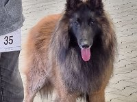 WhatsApp Image 2026-01-10 at 17.47.59