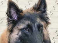 WhatsApp Image 2026-01-10 at 17.48.00 (8)