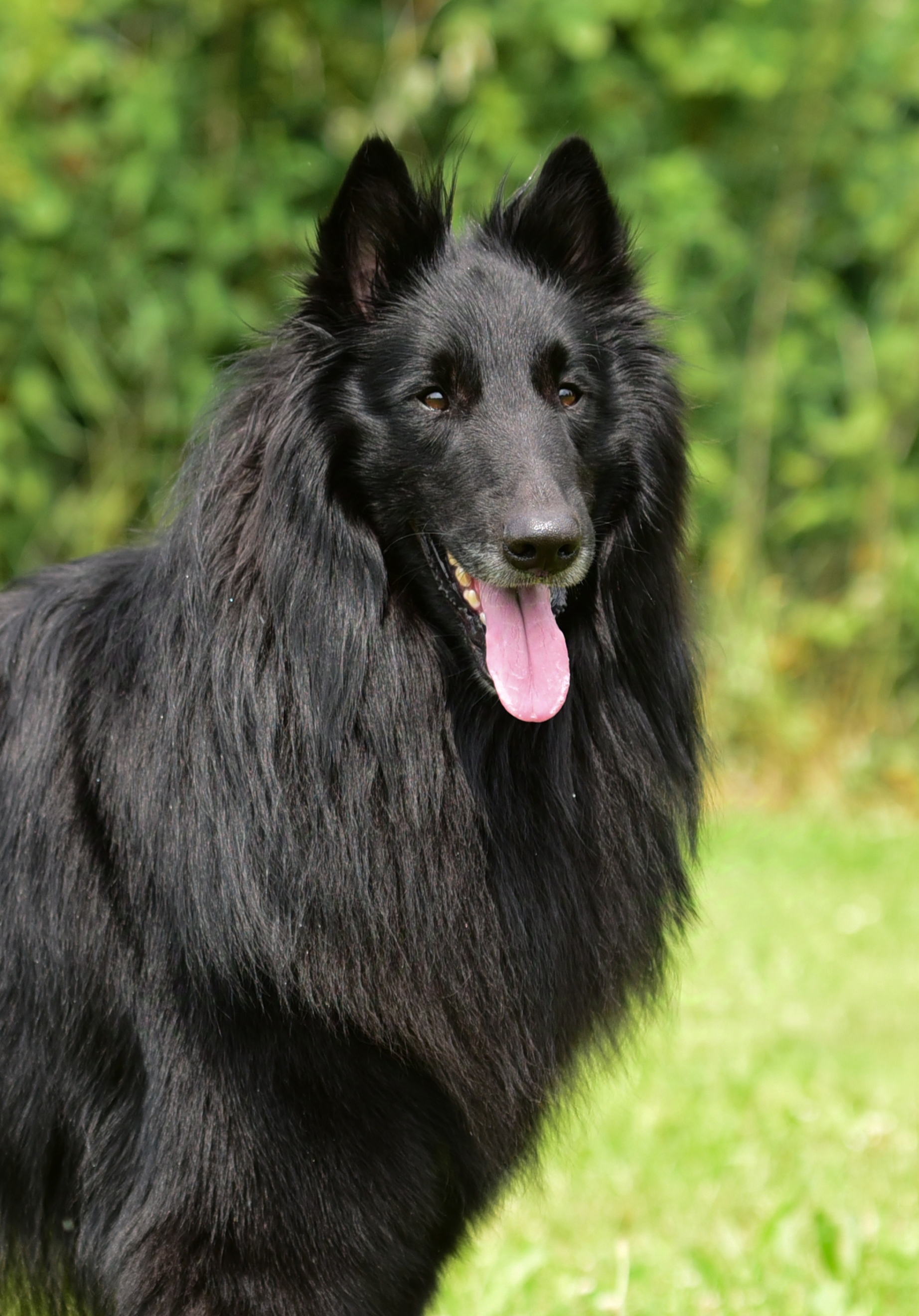 Vegas de la Chenestre 